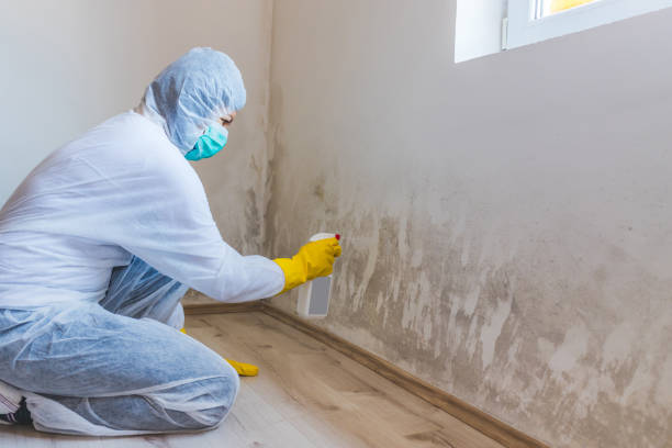 Crawl Space Mold Remediation treatment of floor joists in Selinsgrove